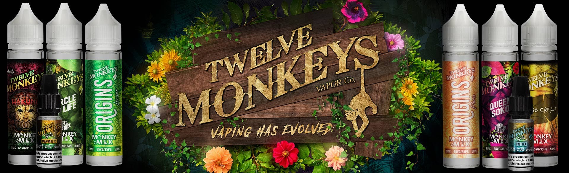Twelve Monkeys Twelve Monkeys